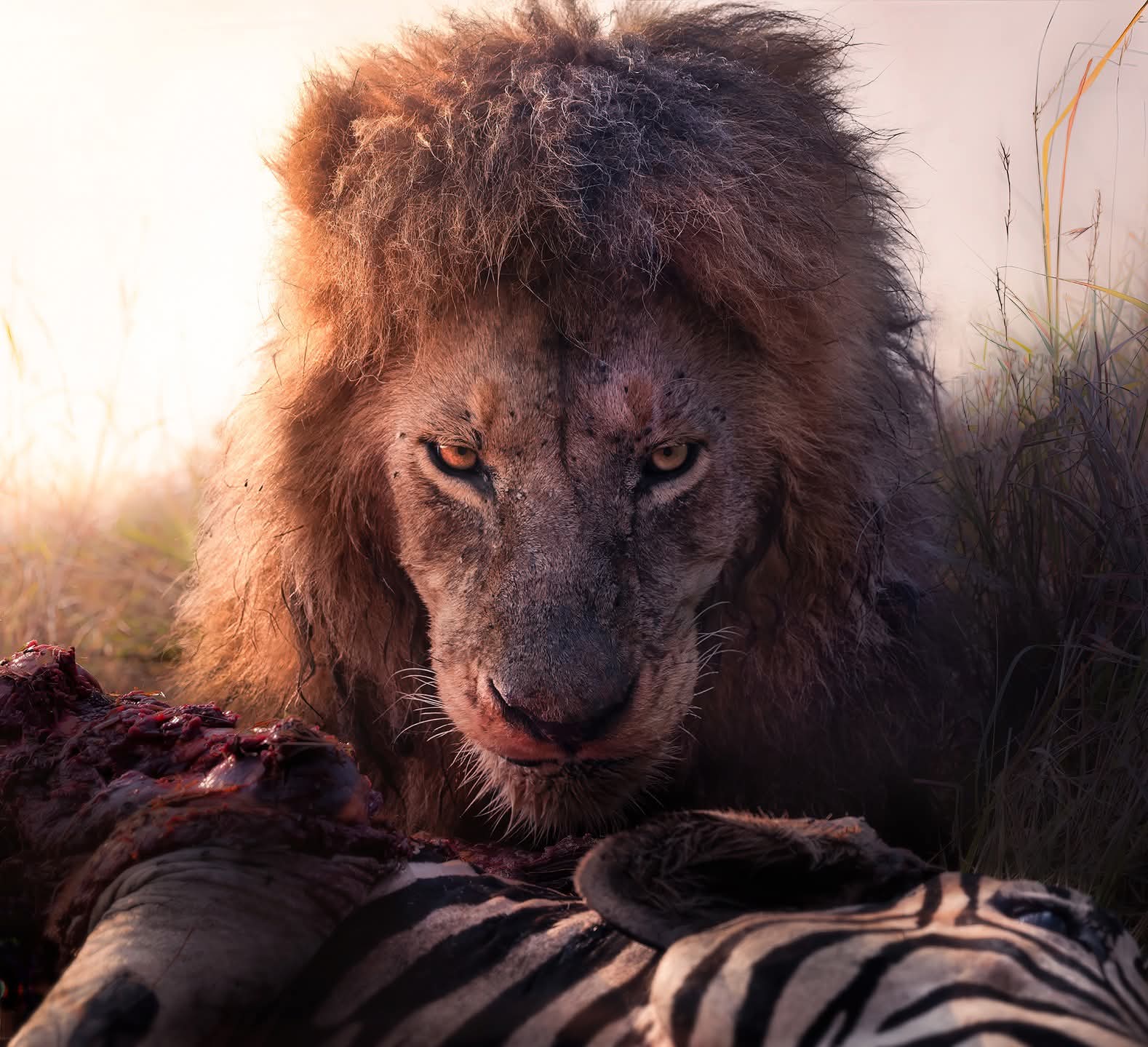 Featured conservancy camp in the Maasai Mara.